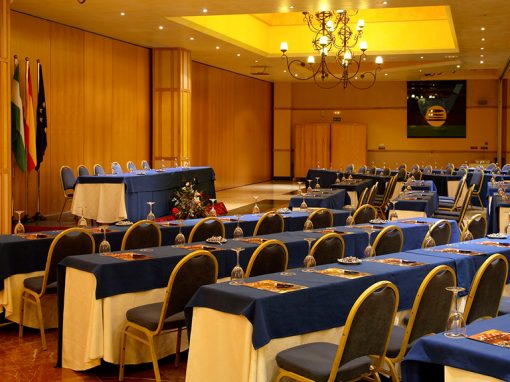 Espacios y Salones Hotel Antequera